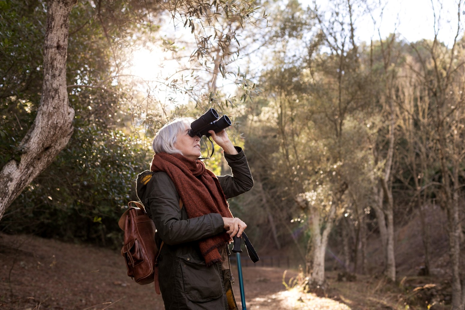 viajes en grupo para personas mayores de 55 años